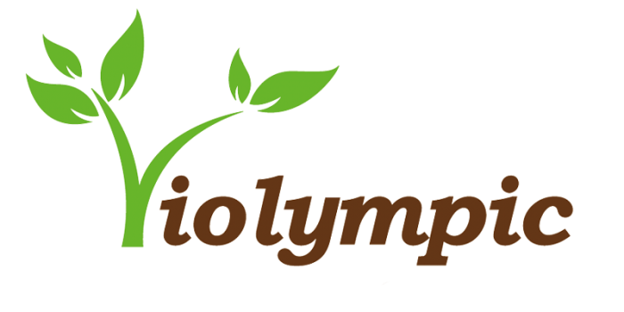 Công văn hướng dẫn tham dự kỳ thi violympic toán và vật lý cấp trường năm học 2016-2017